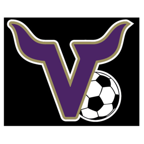 VHS BS Waterproof Sticker Thumbnail